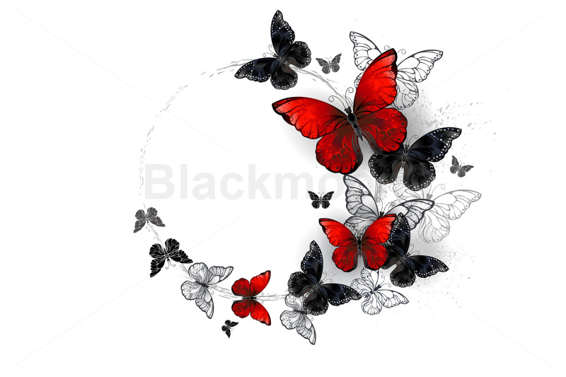 flight-of-black-and-red-butterflies-morpho