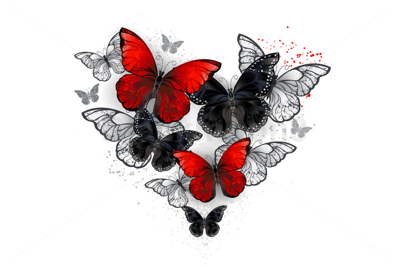realistic-black-and-red-morpho