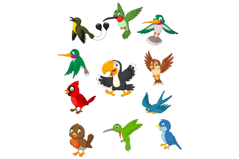 cartoon-birds-clipart-set-graphic