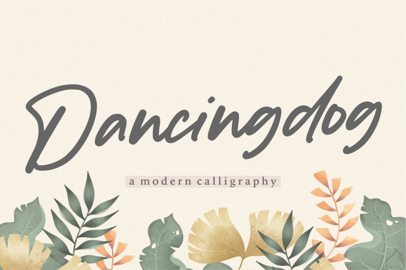 dancingdog-modern-calligraphy-font