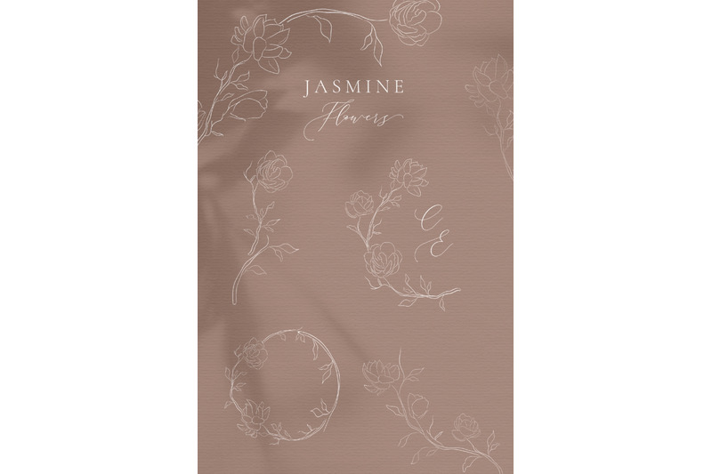 line-drawing-white-jasmine-flower-illustrations-wreaths-frames-leaf