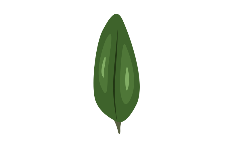 seeded-ecualyptus-leaf