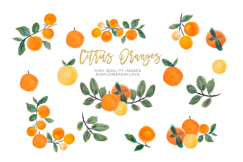 orange-clip-art-oranges-clipart-fruits-floral-border