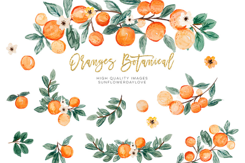 orange-summer-clipart-citrus-clipart-vintage-orange-illustration