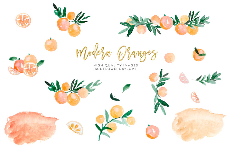 orange-citrus-watercolor-clipart-bitter-orange-wall-art