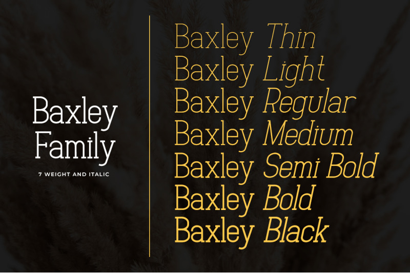 baxley-slab-serif