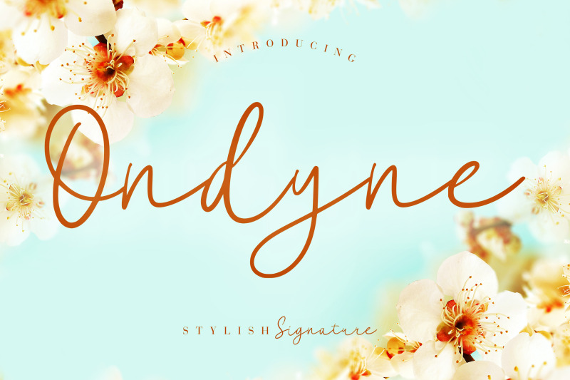 ondyne-stylish-signature