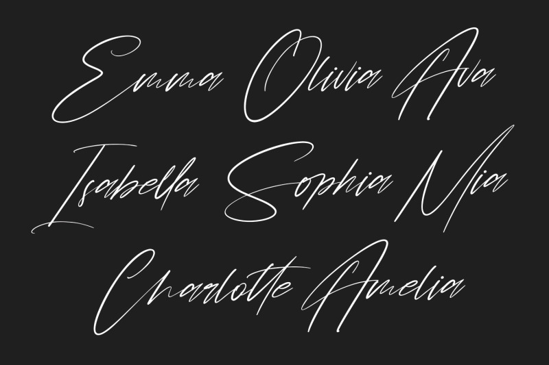 chintia-slanted-script-brush-handmade-beauty-font