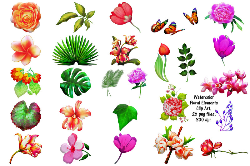 watercolor-floral-elements-clip-art