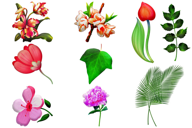 watercolor-floral-elements-clip-art