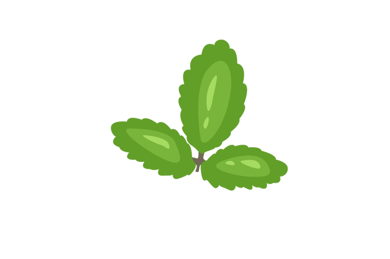 kalanchoe-pinnata-leaf