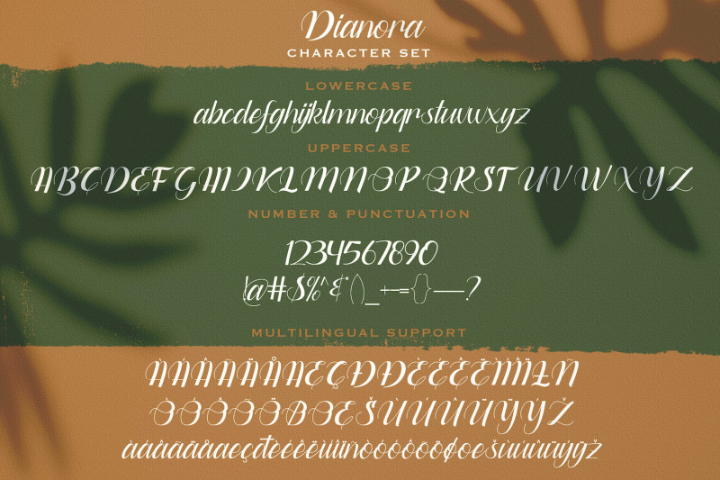 dianora-handwritten-script-font