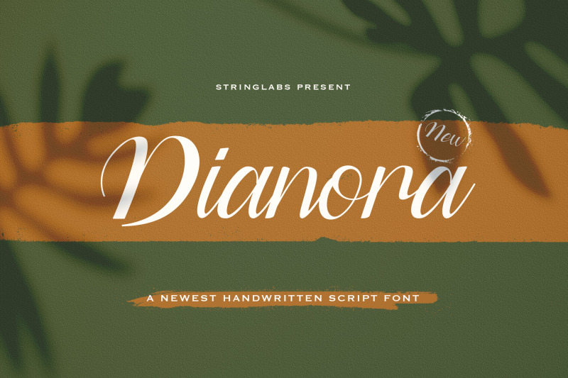 dianora-handwritten-script-font