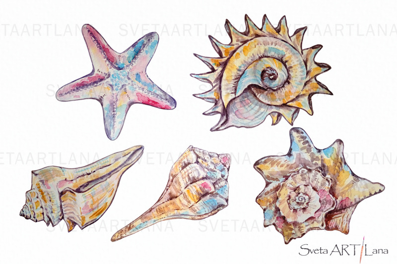 watercolor-clipart-seashell-collection