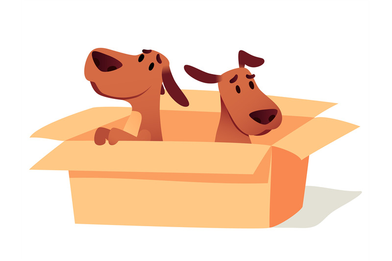 dogs-in-cardboard-box-waiting-for-owner-adoption-concept-homeless-cu