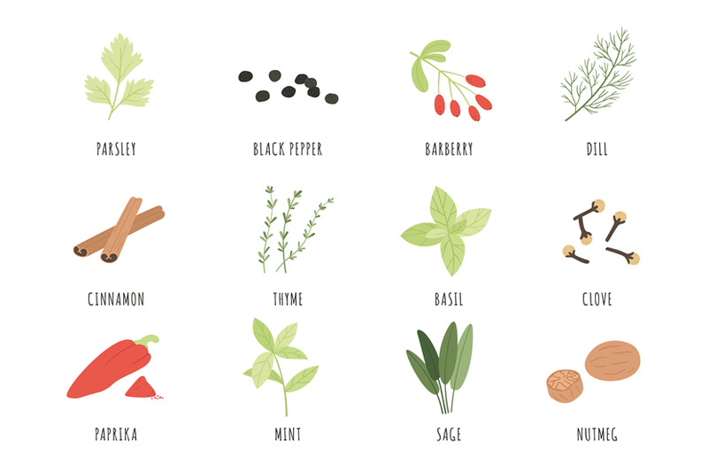 spices-and-herbs-cartoon-black-pepper-basil-and-dill-thyme-cinnamo