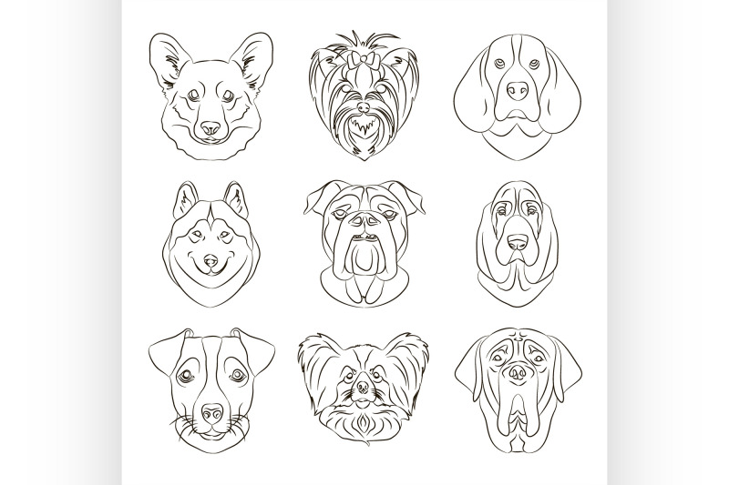 vector-illustration-of-different-dogs-breed