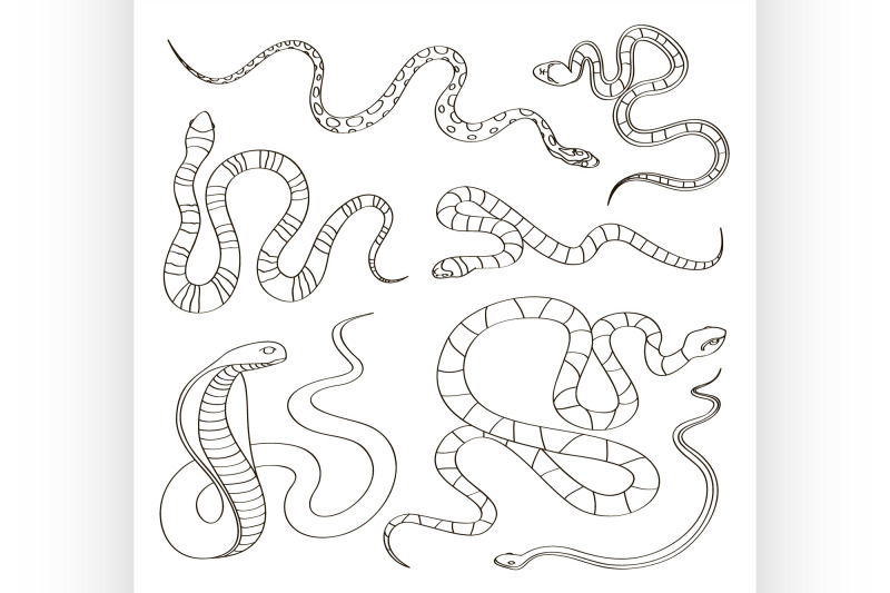 hand-drawn-snake-set