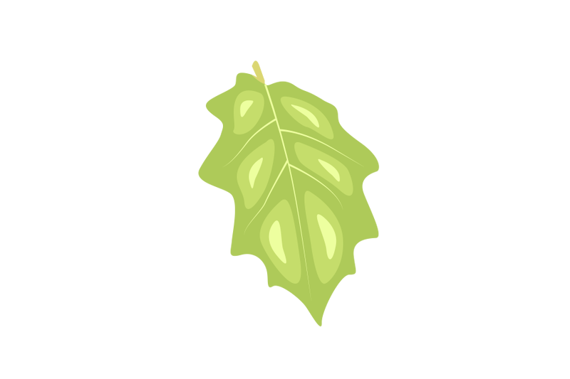 gilo-leaf