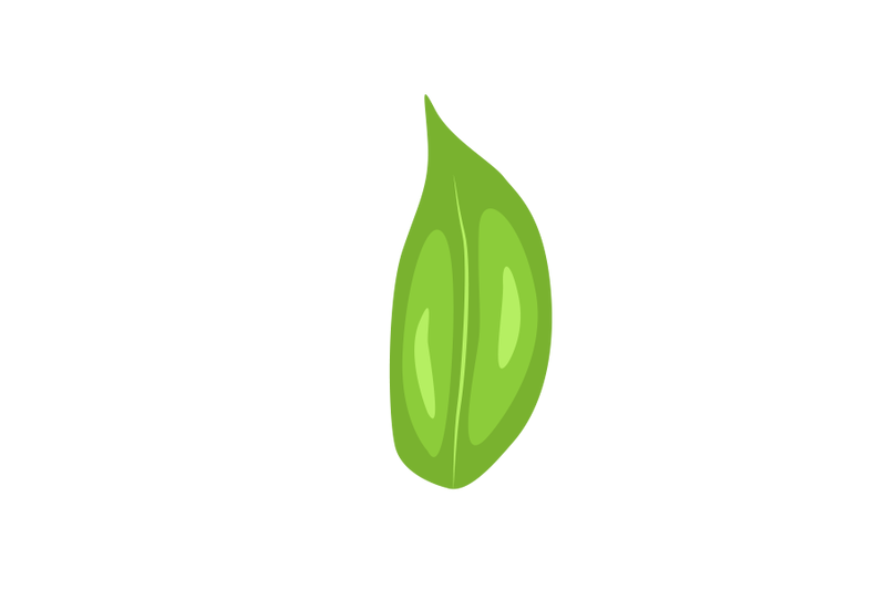 eru-leaf
