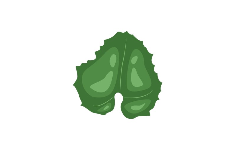 honeydew-leaf