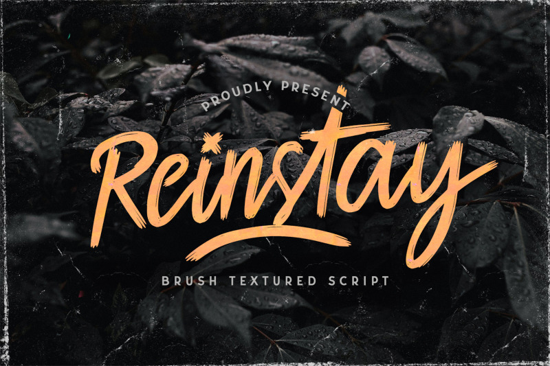 reinstay-brush-textured-script-font