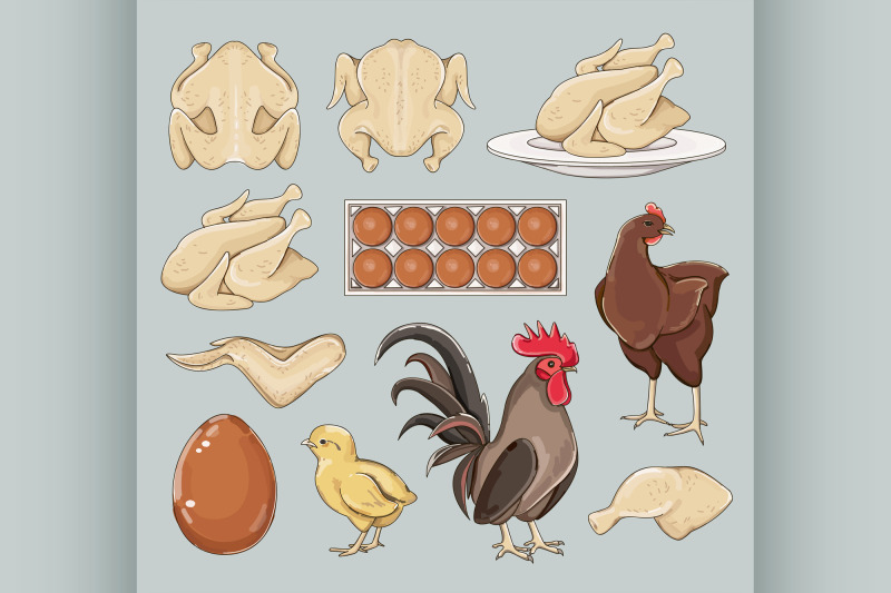 chicken-icons-set