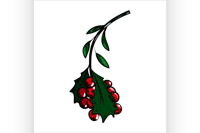 color-sketch-holly-branch-and-red-berries