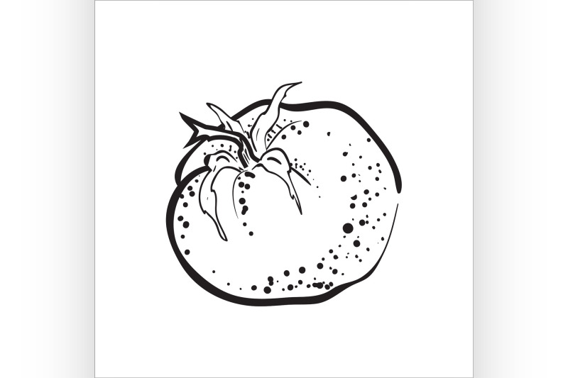 hand-drawn-sketch-tomato