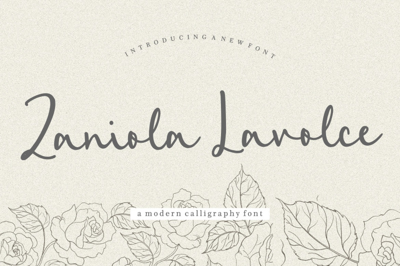 zaniola-lavolce-modern-callihgraphy-font