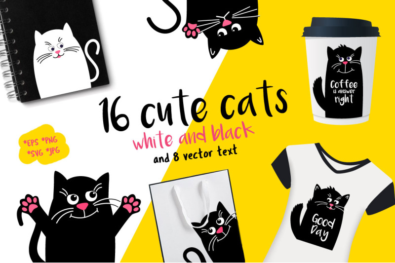 set-black-and-white-cats
