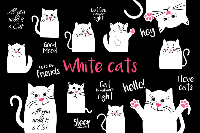set-black-and-white-cats