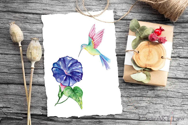 watercolor-hummingbird-and-toucan-clipart-flowers-clipart