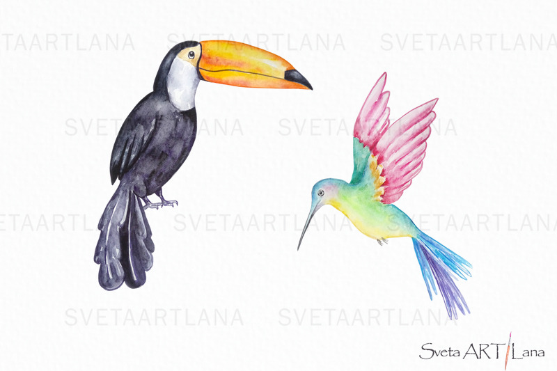 watercolor-hummingbird-and-toucan-clipart-flowers-clipart