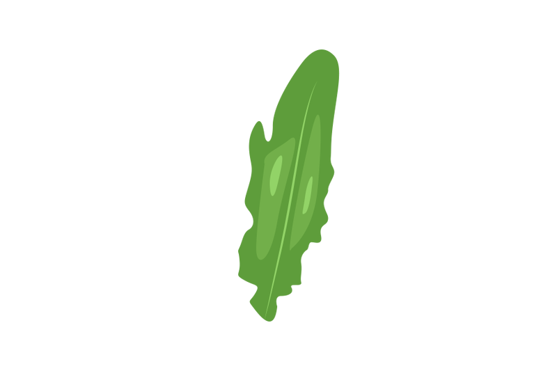 sword-lettuce-leaf