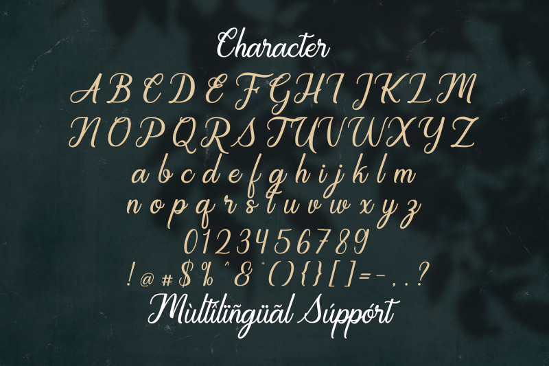 regalhisa-calligraphy-script-font