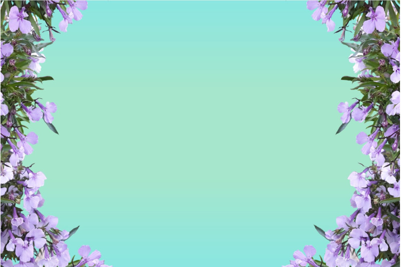 floral-frame-with-blank-background