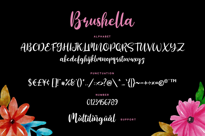 brushella-beautiful-script