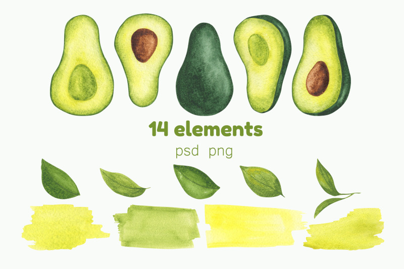 watercolor-avocado-set
