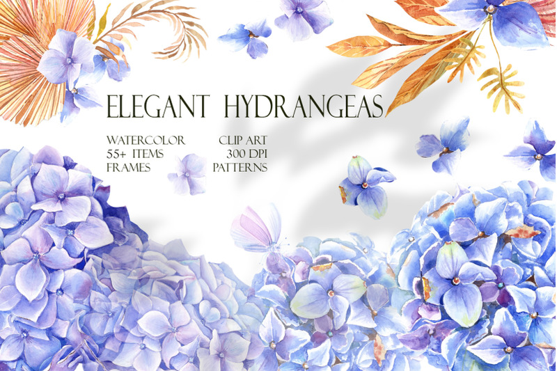 elegant-hydrangeas