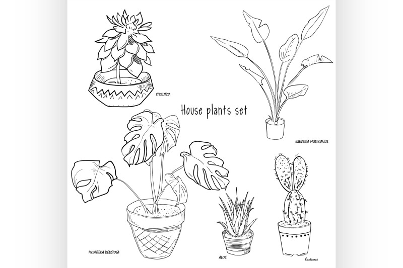 houseplants-vector-set-of-hand-drawing