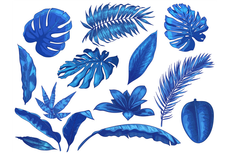 blue-tropical-leaves-exotic-palm-tree-leaf-botanical-monstera-and-fl