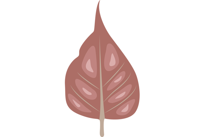 palwal-leaf