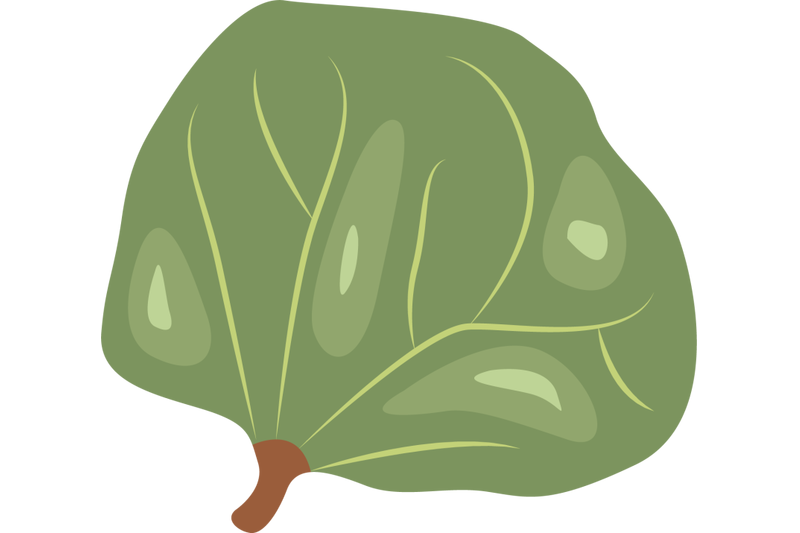 marama-bean-leaf