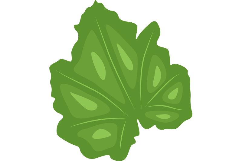 zucchini-leaf