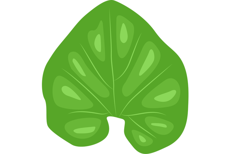 ridge-gourd-leaf