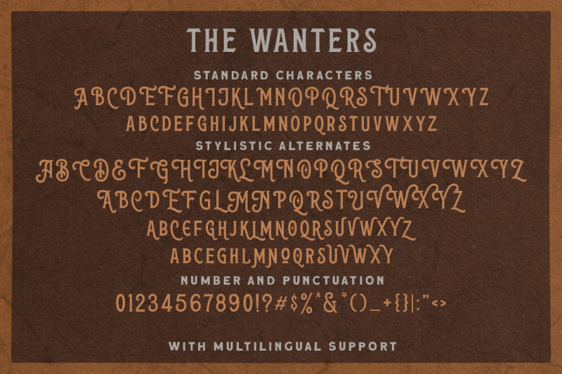 the-wanters-display-typeface