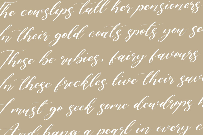 lavineta-eisley-luxury-calligraphy-font