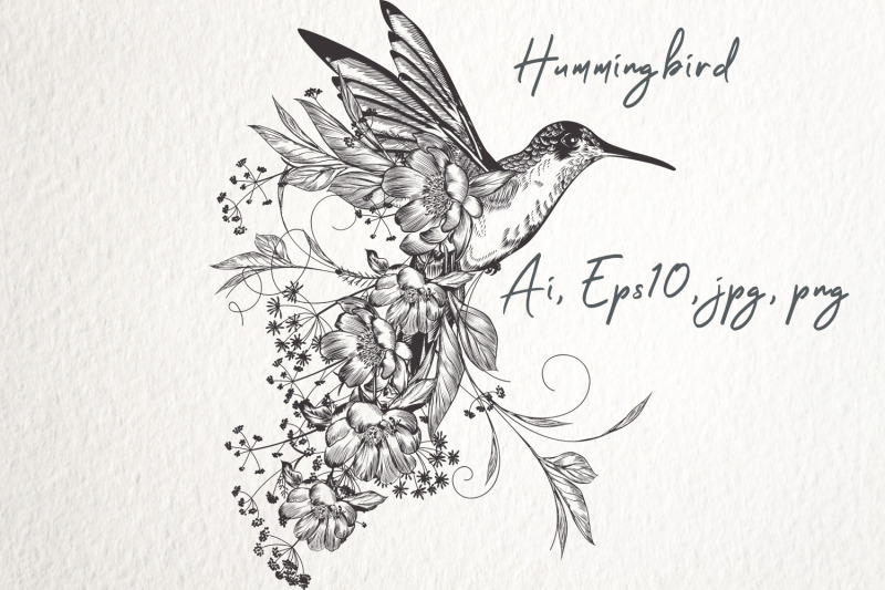 fashion-vector-illustration-with-hummingbird-in-elegant-vintage-style