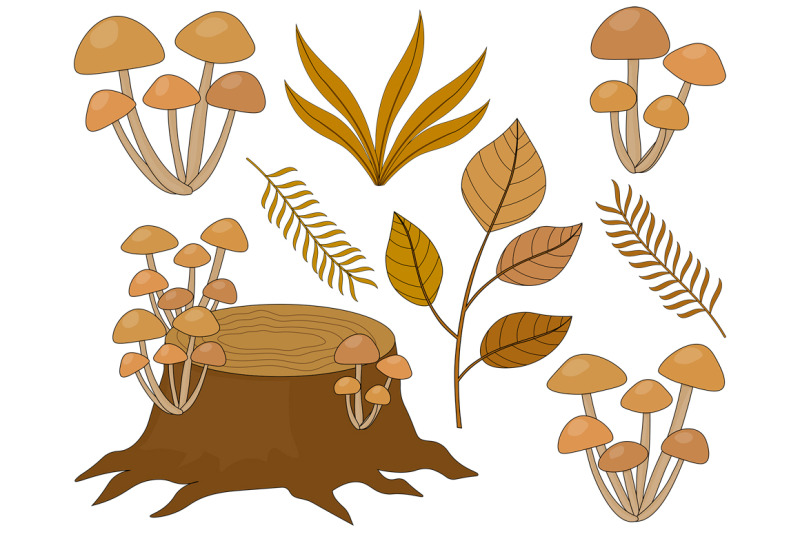set-autumn-vector-illustration